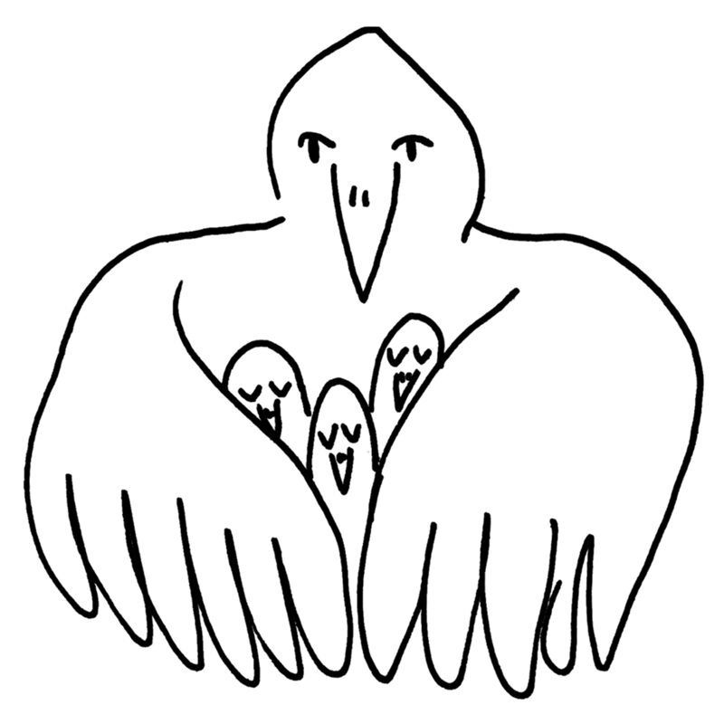 Amont Loland Wibich bird sketch